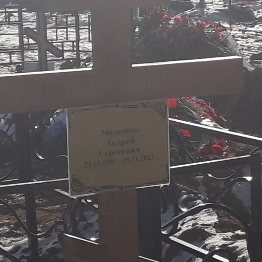 Мелешин Андрей Сергеевич
